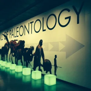 Cubo de led verde para evento